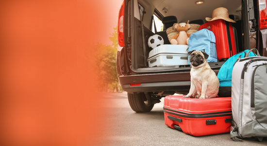 Checklist do carro para viagens de fim de ano: o que revisar antes de pegar estrada